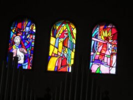 IMG_6988 IMG_6988